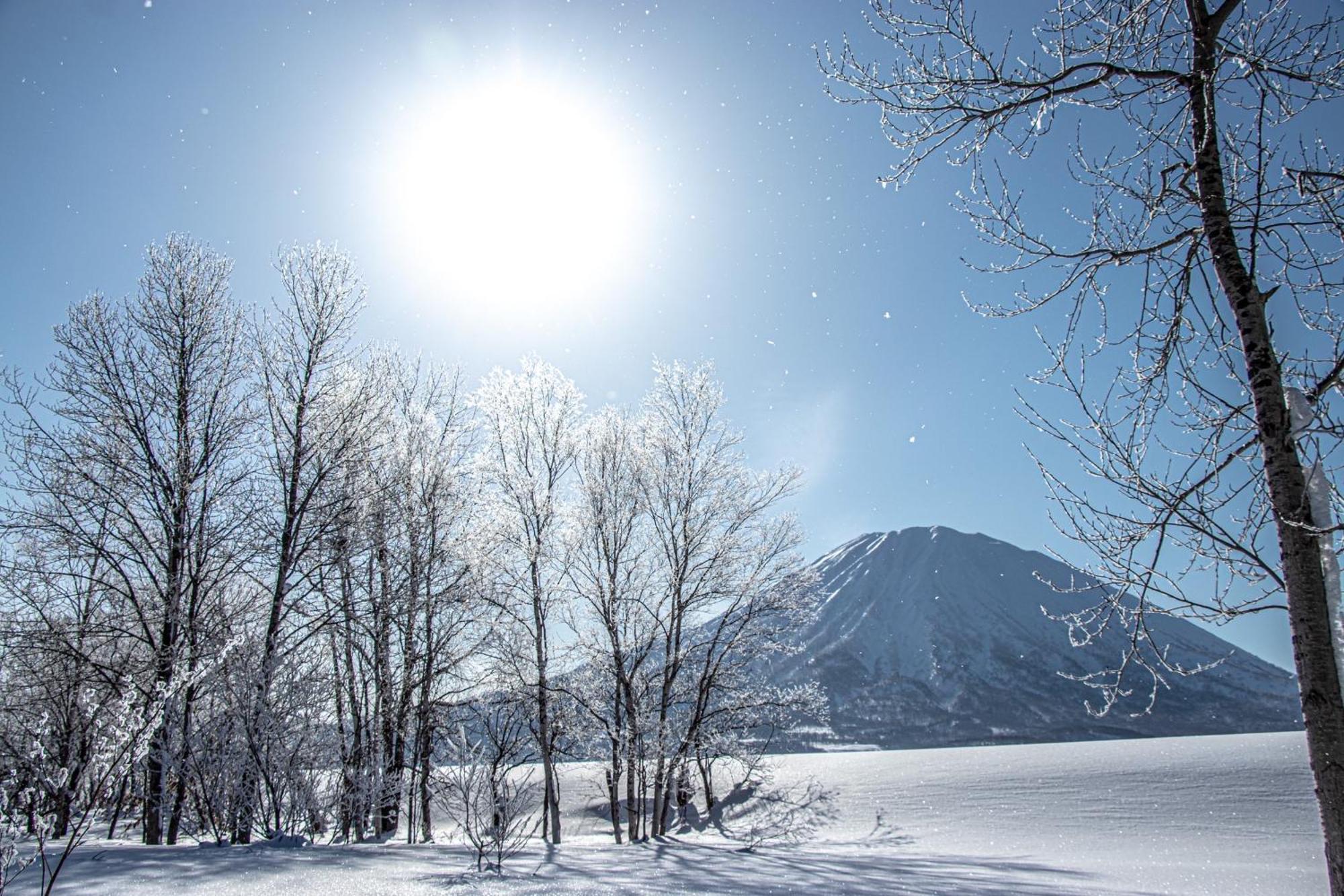 Berg Lodge Niseko